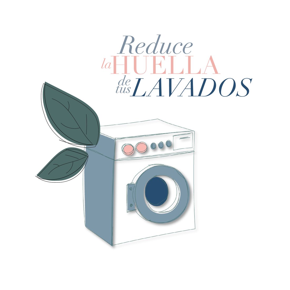 LAVADO SOSTENIBLE: ¿Cómo lavar tu ropa de forma ecológica y económica? –  Pol Avè